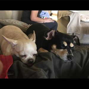 Meet your Posher, Jim